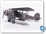 swordfish3_2_800