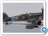 typhoon_shark2
