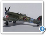 typhoon_shark4