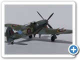 typhoon_shark5