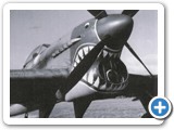 typhoon_sharky4