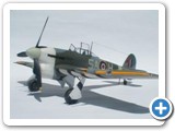 typhoon_t5