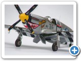 p51b_bigmac_3