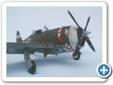 P47_thebug_1
